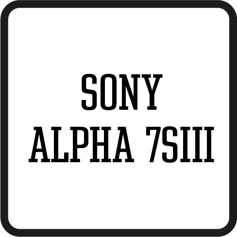 SONY ALPHA 7SIII