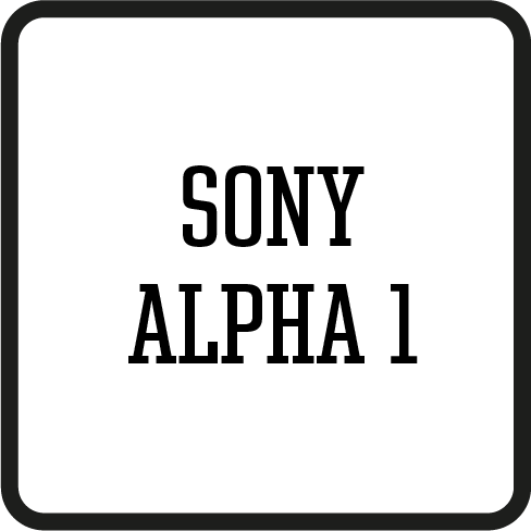 SONY ALPHA 1